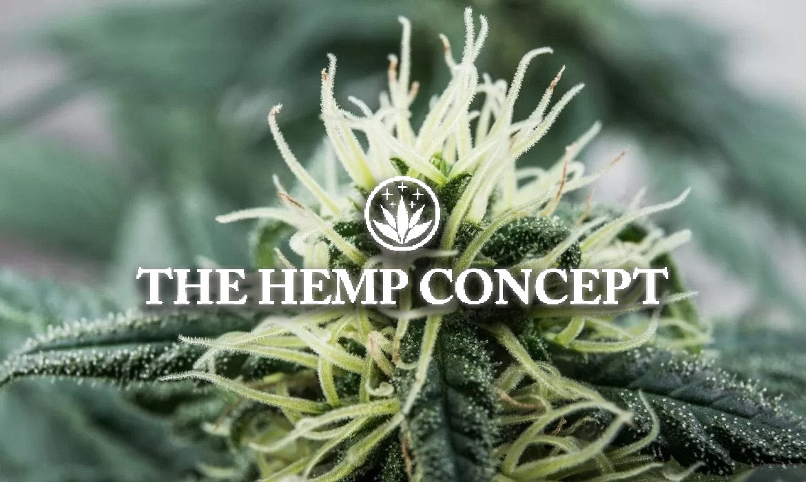 Que faut-il savoir sur le CBN?